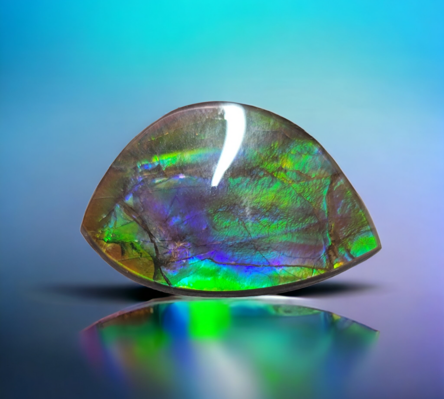 Ammolite Stone : MIS00370