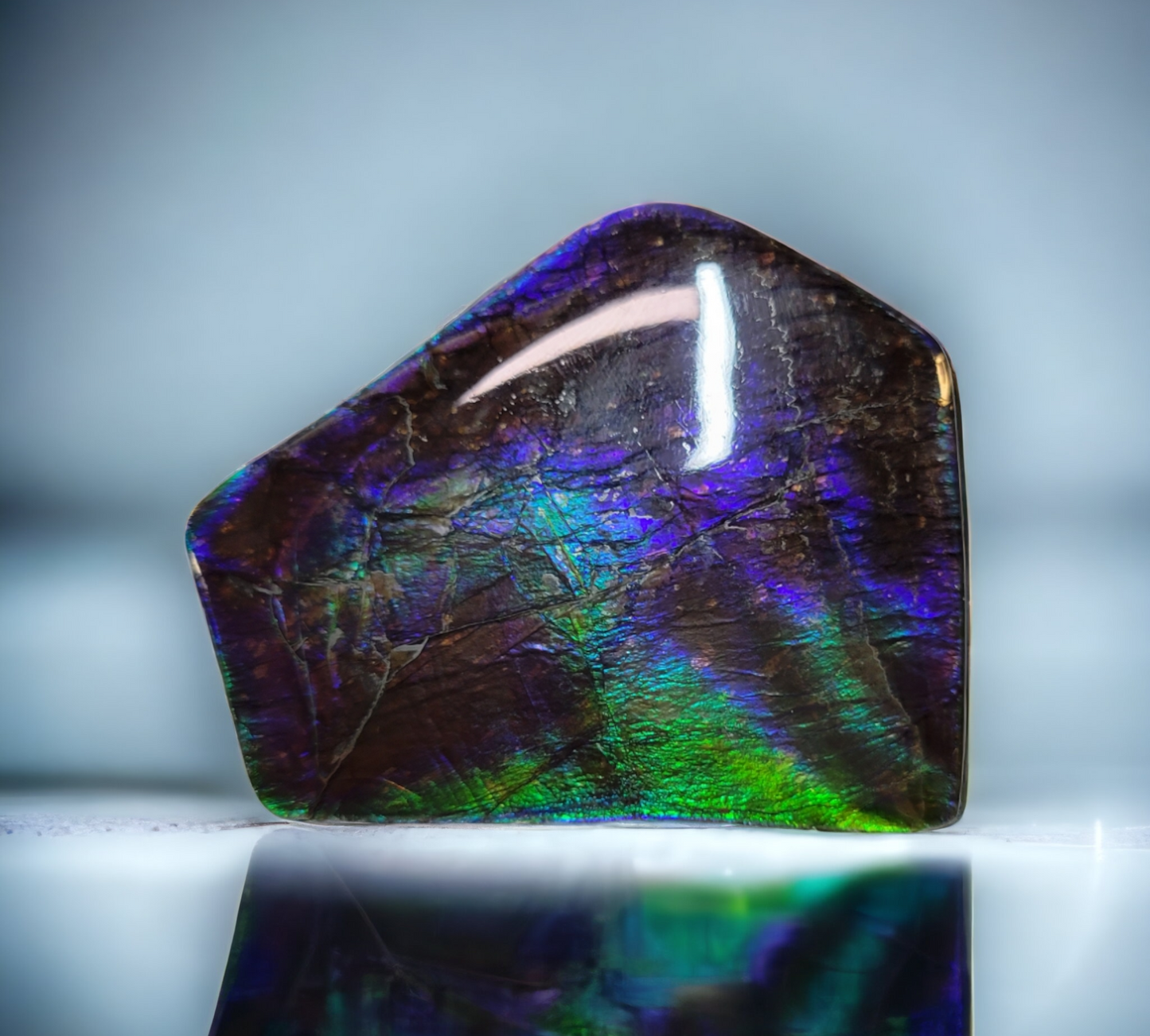 Ammolite Stone : MIS01099