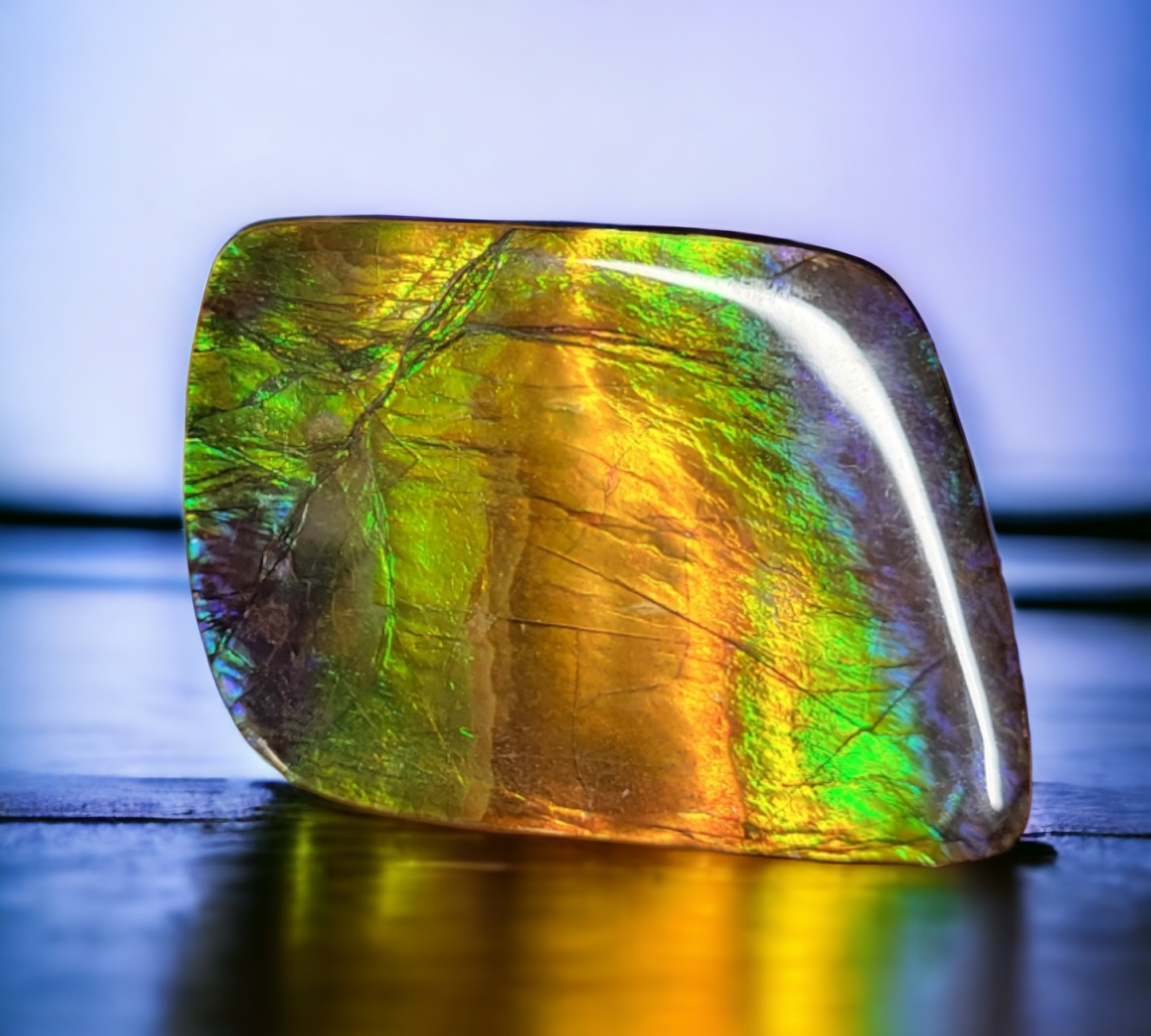 Ammolite Stone : MIS02022
