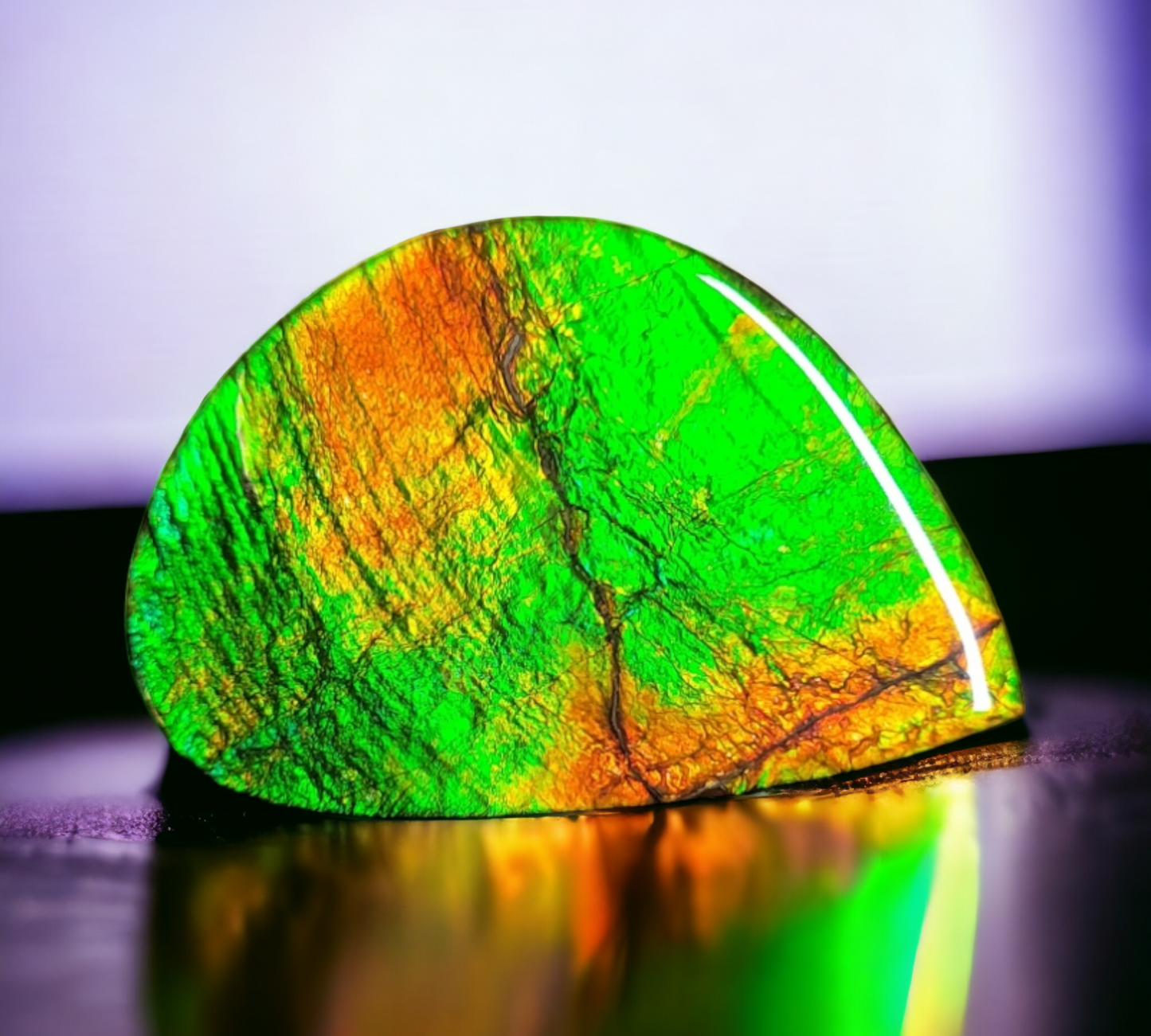Ammolite Stone : MIS01509