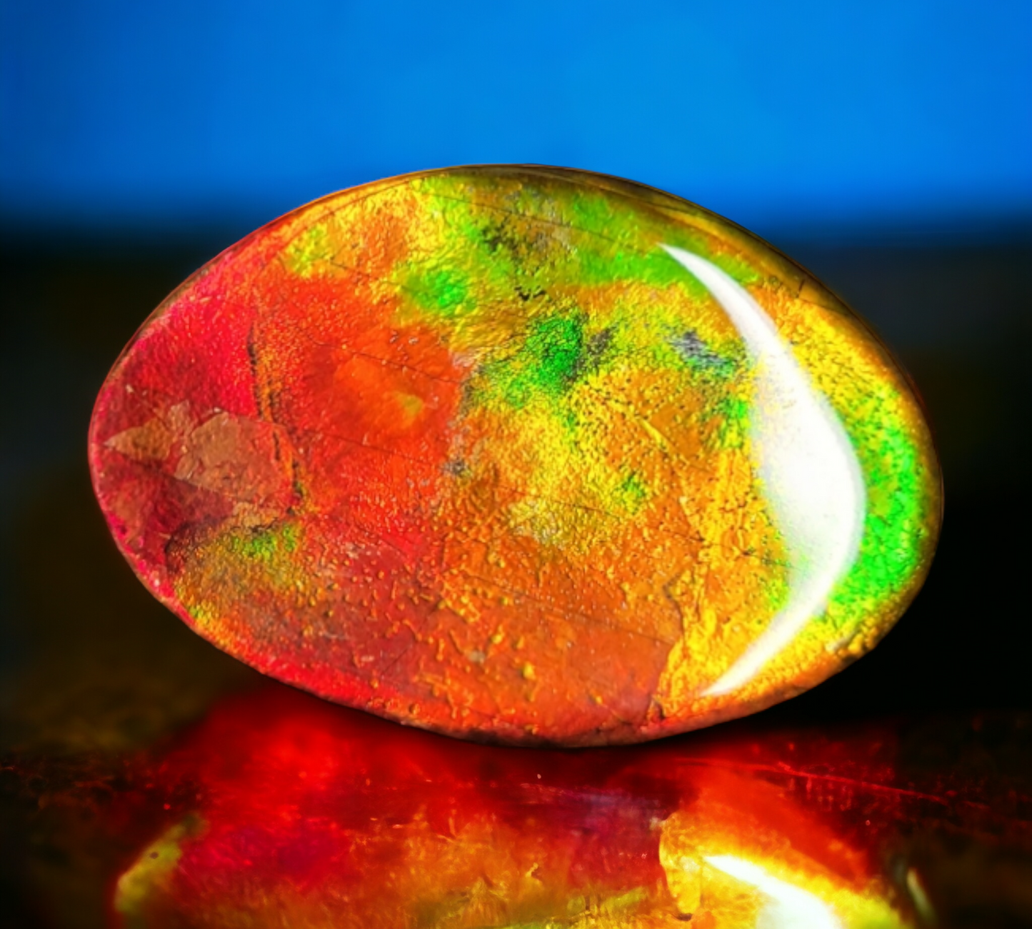 Ammolite Stone : MIS02027
