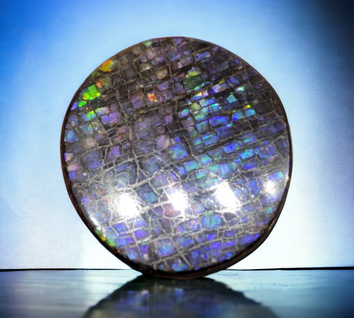 Ammolite Stone : MIS00521