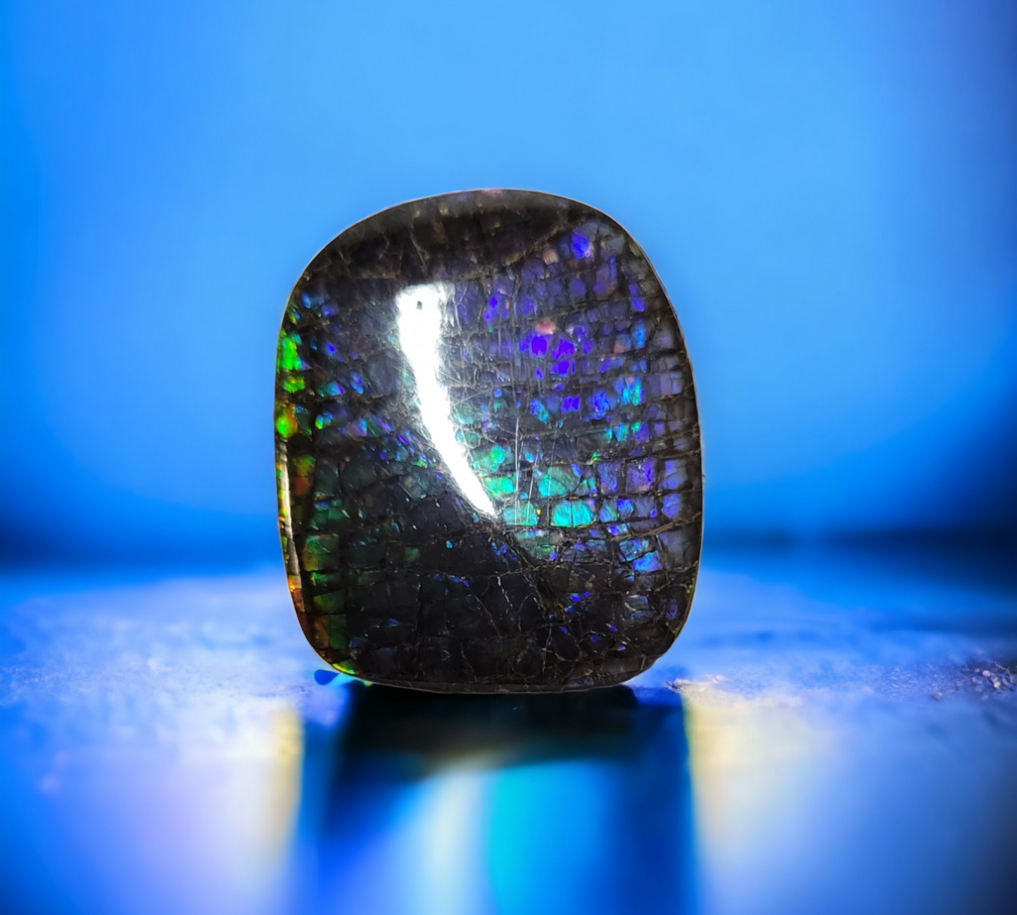 Ammolite Stone : MIS00903