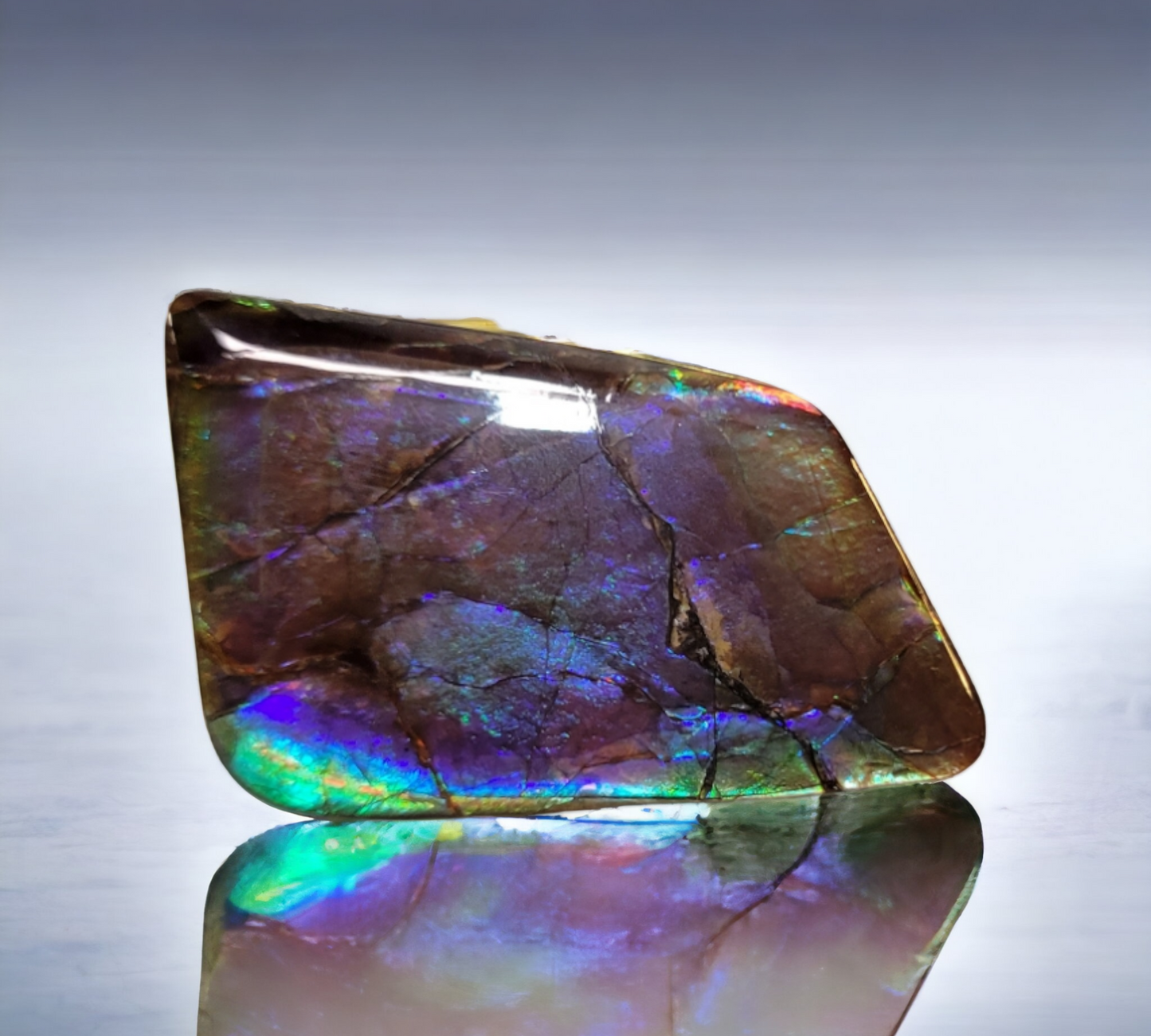 Ammolite Stone : MIS01107