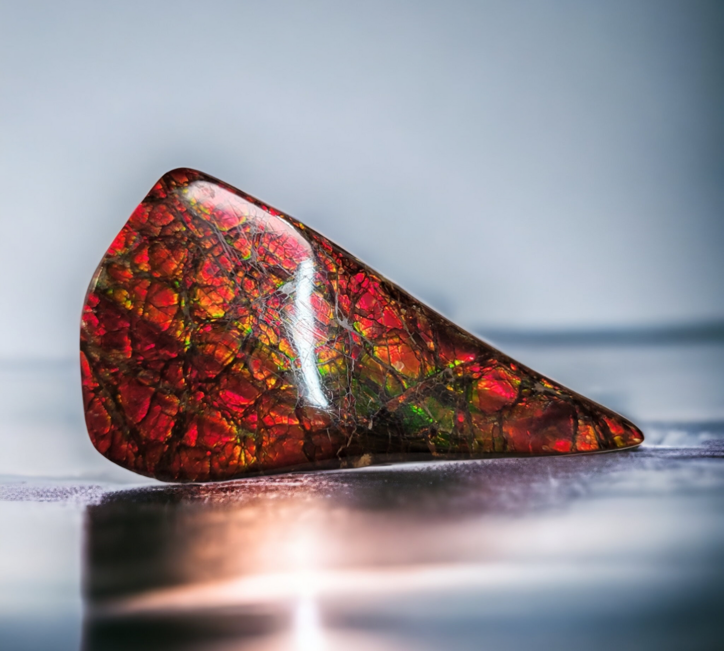 Ammolite Stone : MIS01105