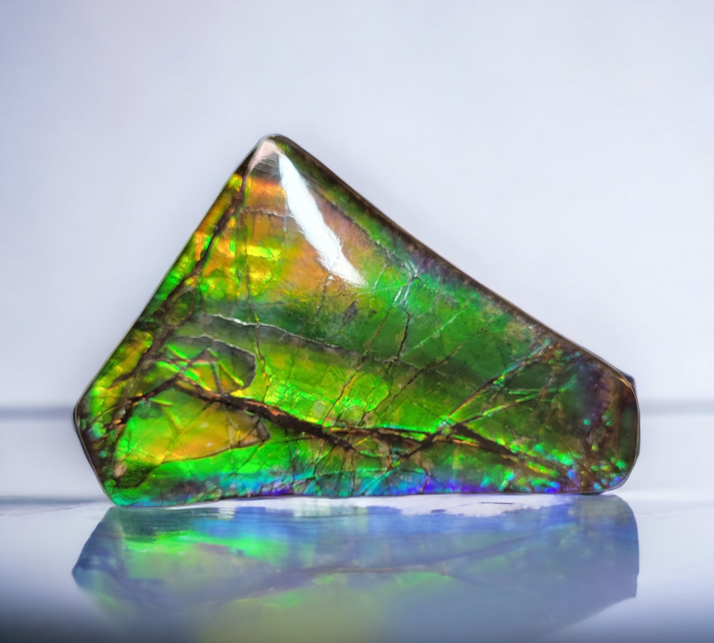 Ammolite Stone : MIS01100