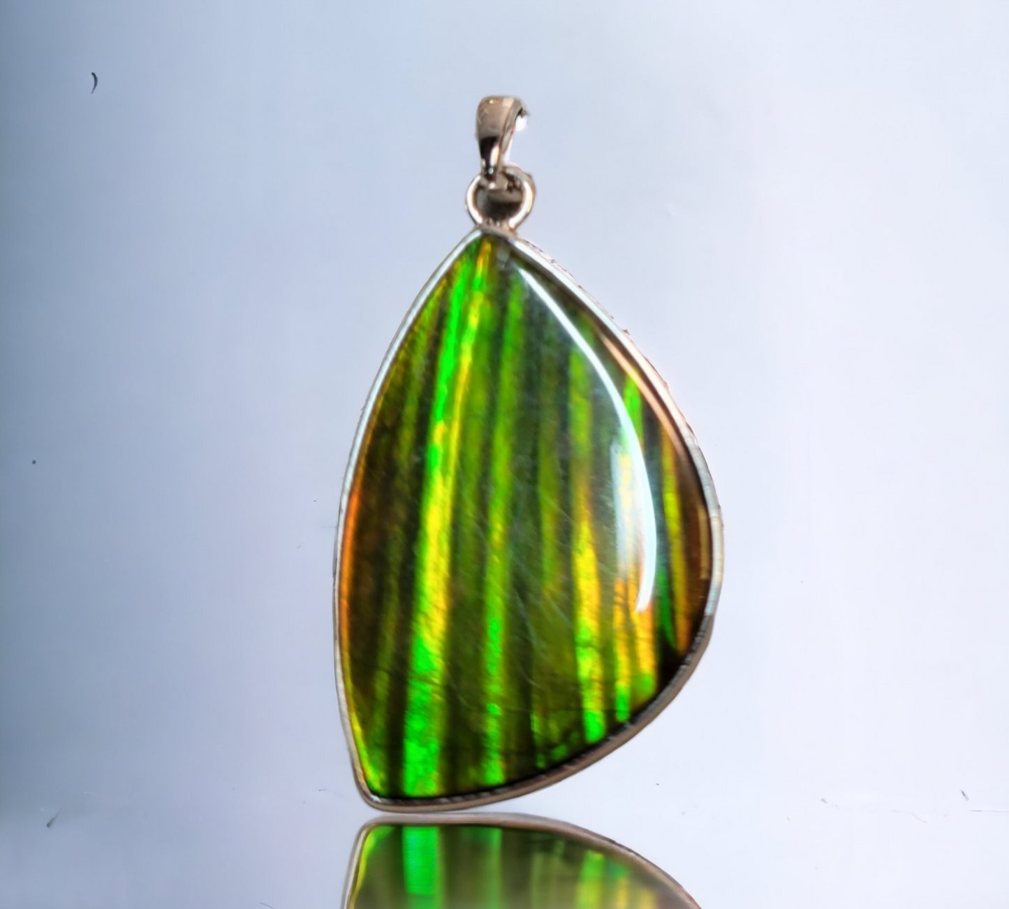 Ammolite Accessories : MIS00745 (M)