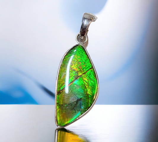 Ammolite Accessories : MIS00799