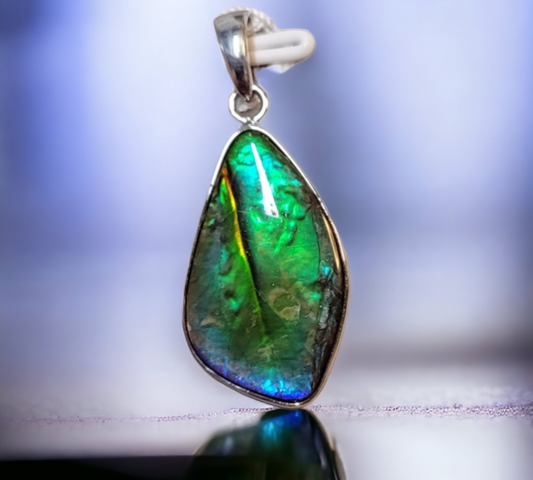 Ammolite Accessories : MIS00794