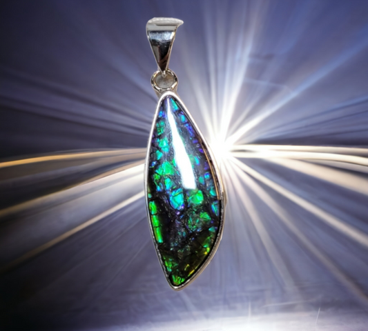 Ammolite Accessories: MIS00788