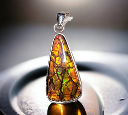 Ammolite Accessories : MIS00796