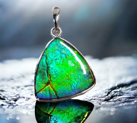 Ammolite Accessories : MIS00790