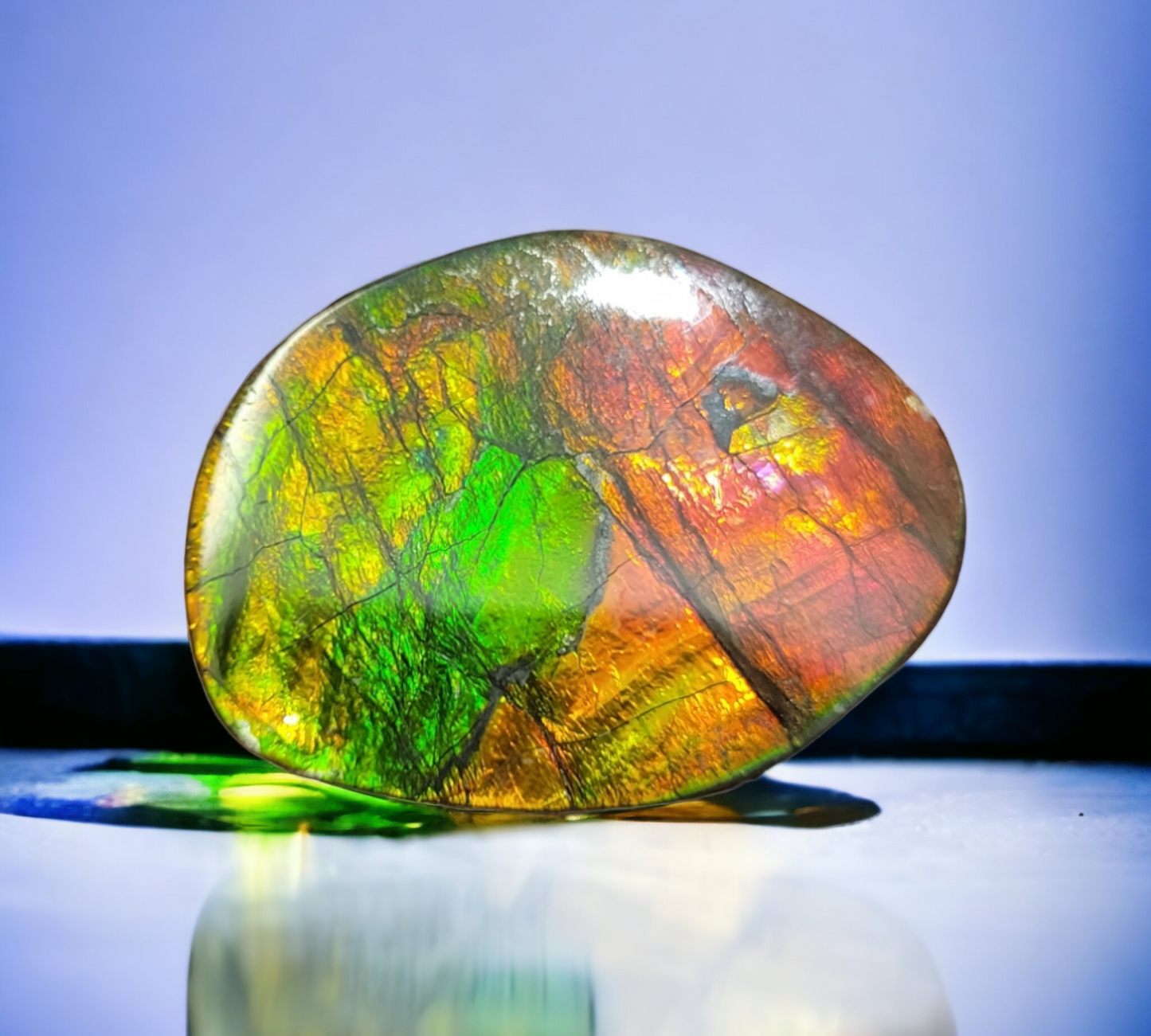 Ammolite Stone : MIS00487 (M)