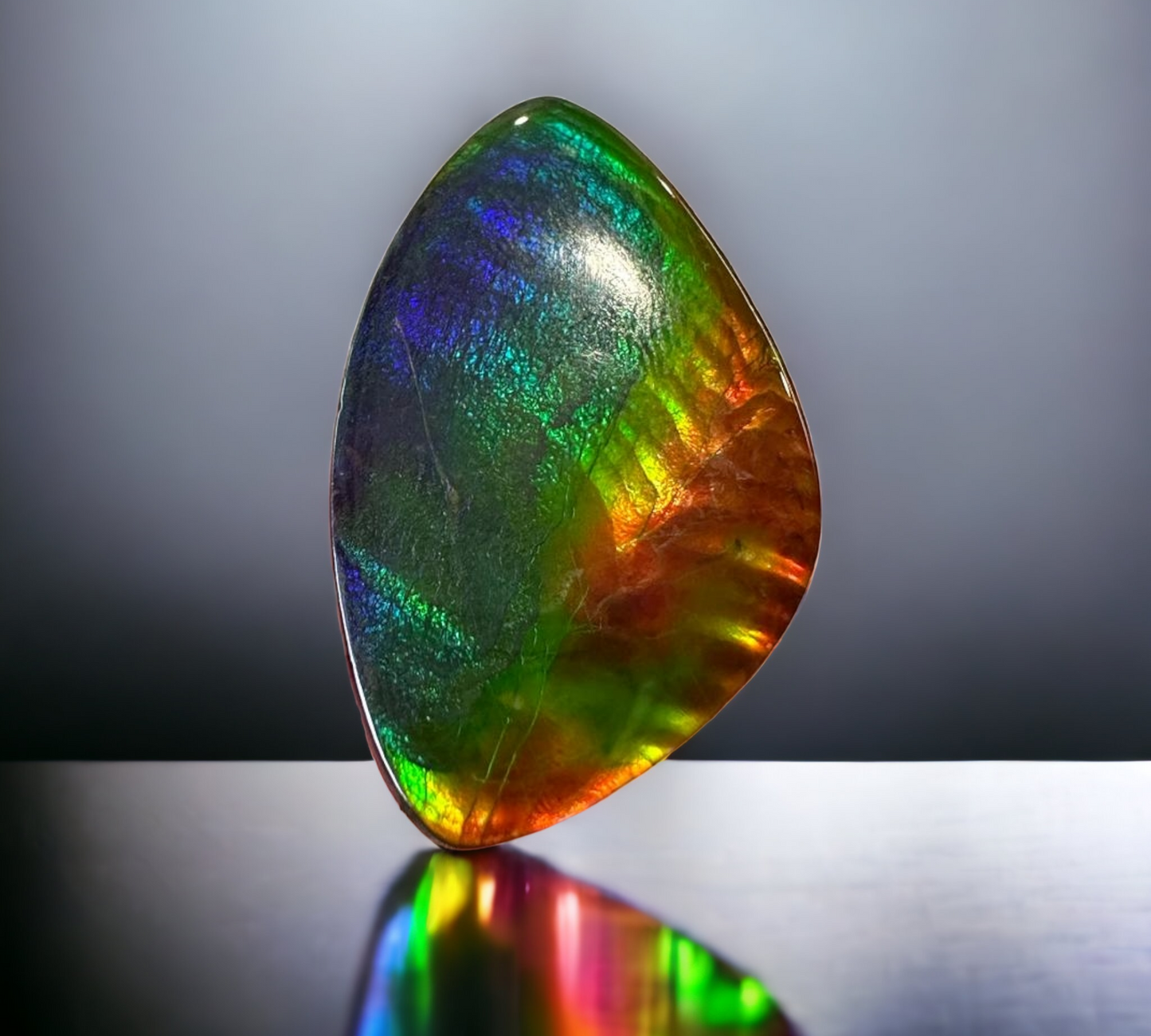 Ammolite Stone : MIS00648 (M)