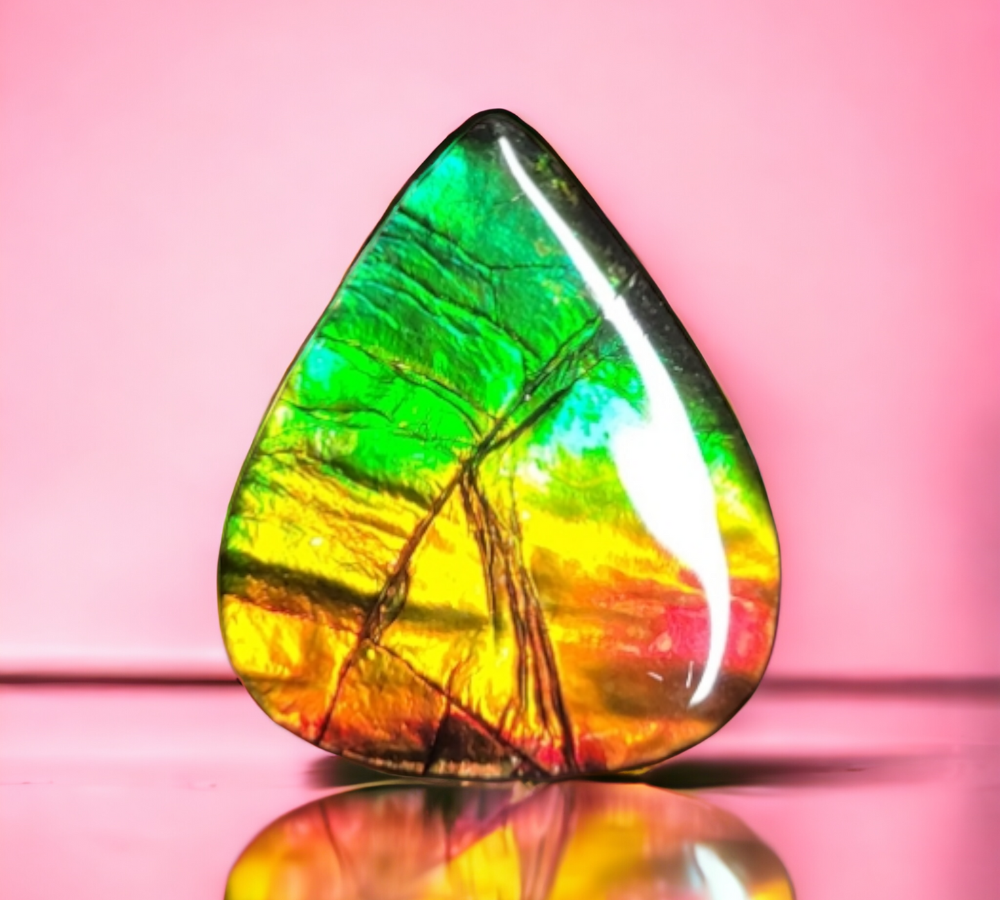 Ammolite Stone : MIS01533