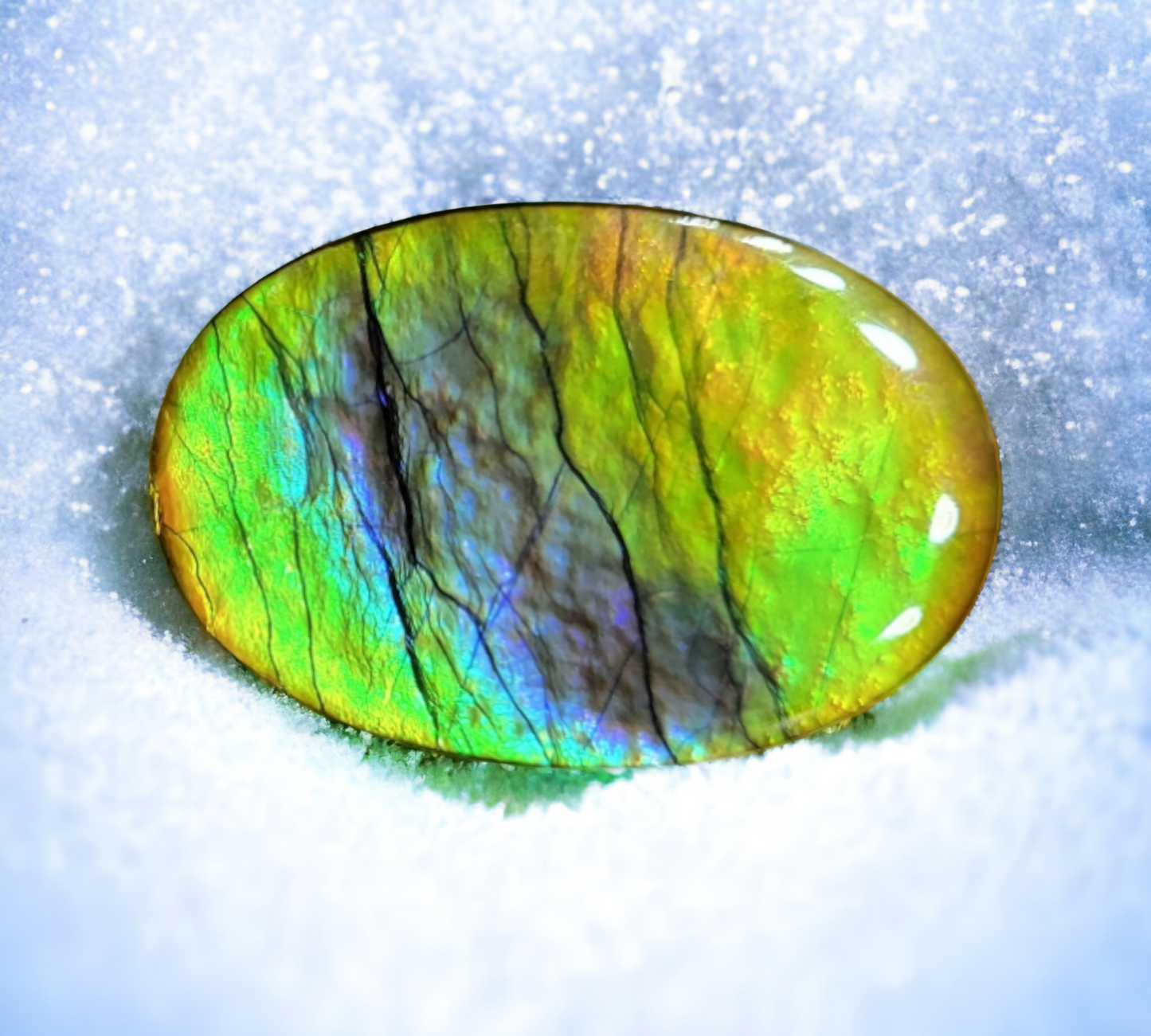 Ammolite Stone : MIS01943